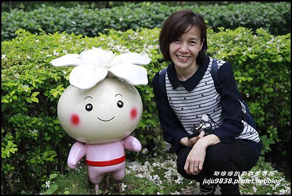 客家大院桐花公園3.JPG 客家大院桐花公園3.JPG