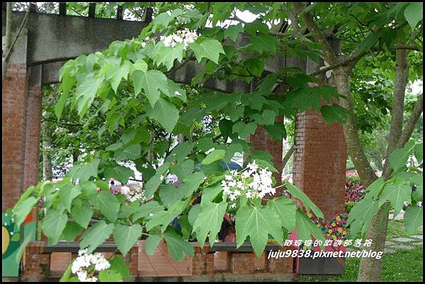 客家大院桐花公園14.JPG