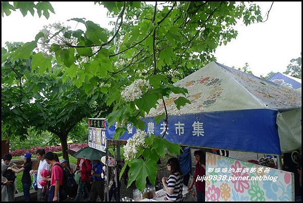 客家大院桐花公園18.JPG 客家大院桐花公園18.JPG