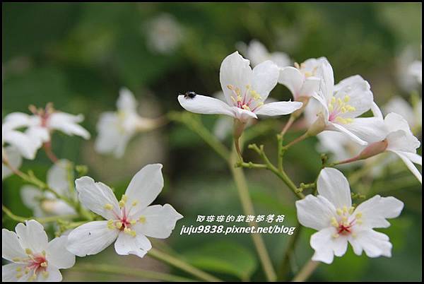 甘家堡4.JPG 甘家堡4.JPG