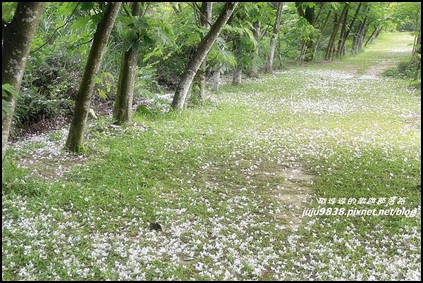 甘家堡14.JPG 甘家堡14.JPG