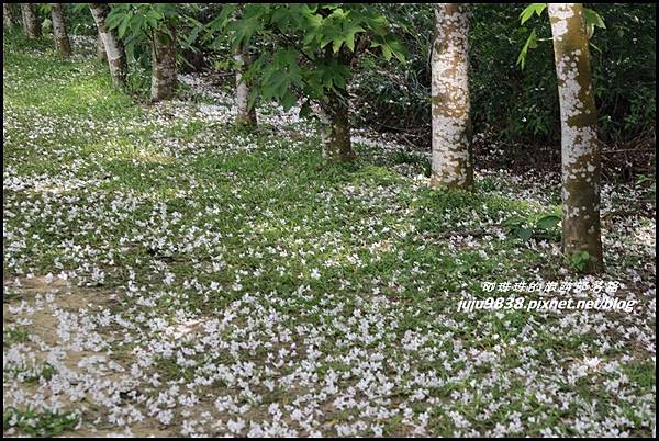 甘家堡17.JPG 甘家堡17.JPG