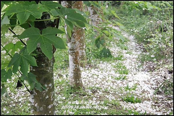 甘家堡20.JPG 甘家堡20.JPG