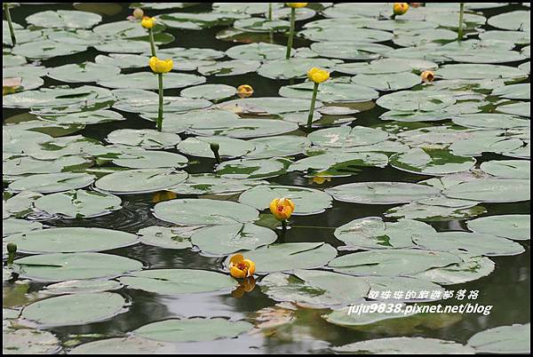 甘家堡22.JPG 甘家堡22.JPG