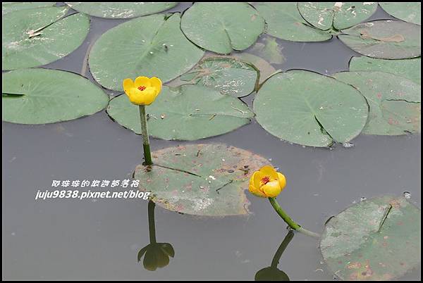 甘家堡21.JPG 甘家堡21.JPG