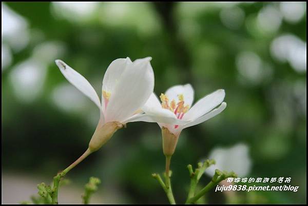 甘家堡25.JPG 甘家堡25.JPG