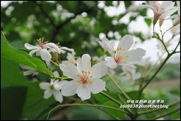 甘家堡26.JPG 甘家堡26.JPG