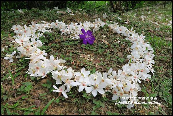 甘家堡28.JPG 甘家堡28.JPG