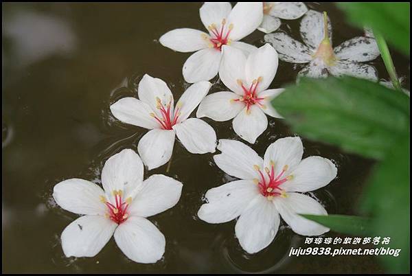 甘家堡34.JPG 甘家堡34.JPG