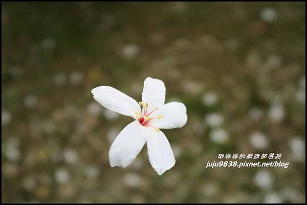 甘家堡32.JPG 甘家堡32.JPG