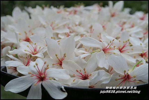 甘家堡40.JPG 甘家堡40.JPG