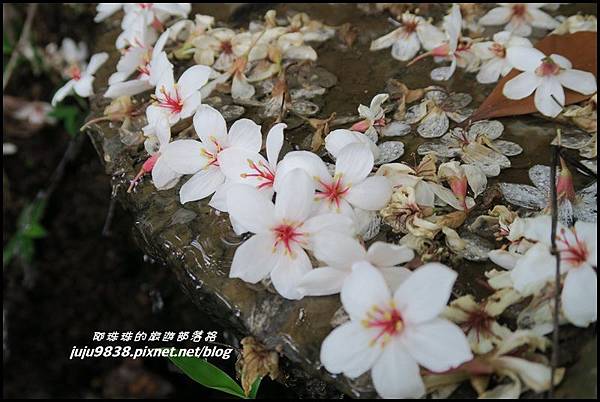 甘家堡39.JPG 甘家堡39.JPG