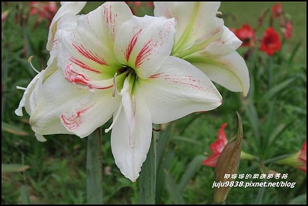 甘家堡42.JPG 甘家堡42.JPG