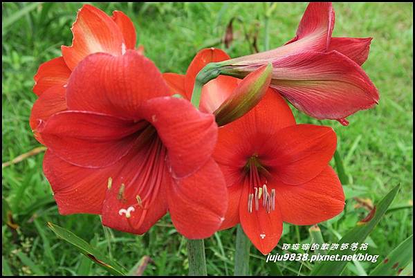 甘家堡43.JPG 甘家堡43.JPG