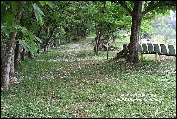 甘家堡44.JPG 甘家堡44.JPG