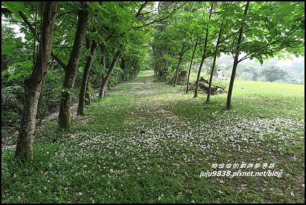 甘家堡45.JPG 甘家堡45.JPG