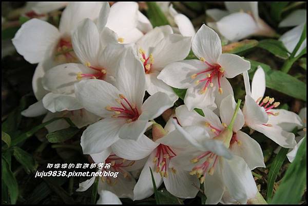 甘家堡46.JPG 甘家堡46.JPG