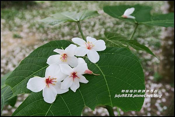 甘家堡48.JPG 甘家堡48.JPG