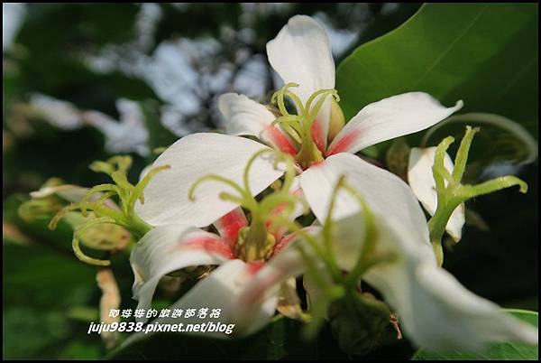 甘家堡51.JPG 甘家堡51.JPG