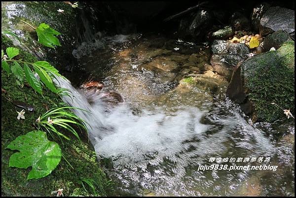 小粗坑47.JPG 小粗坑47.JPG