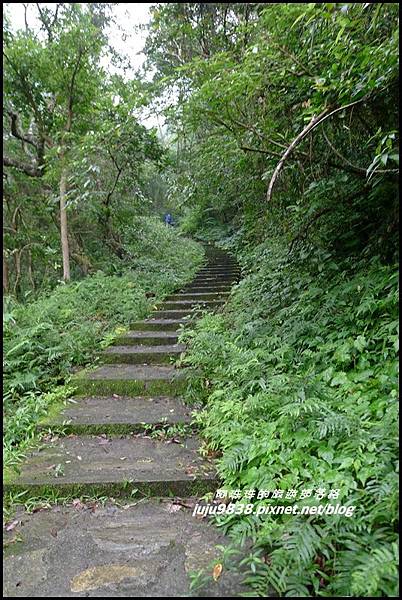 澳花瀑布15.JPG 澳花瀑布15.JPG