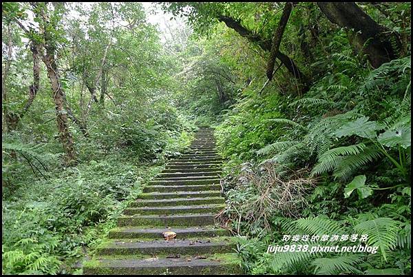 澳花瀑布16.JPG 澳花瀑布16.JPG