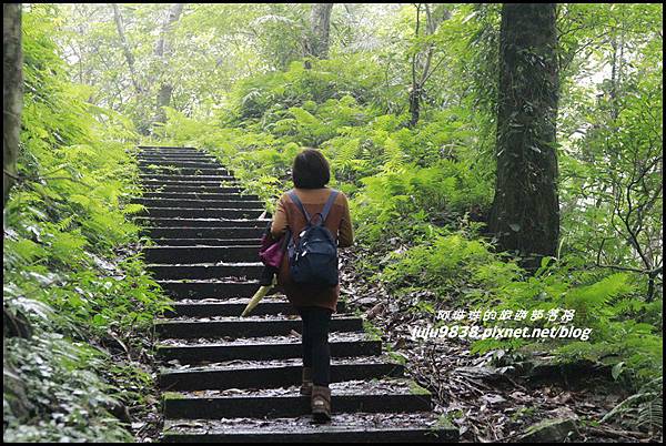 澳花瀑布43.JPG 澳花瀑布43.JPG