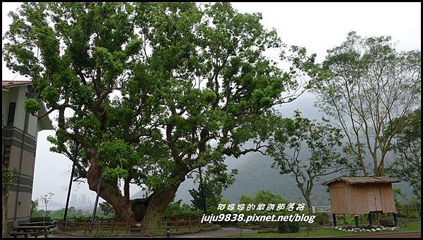 澳花瀑布44 澳花瀑布44