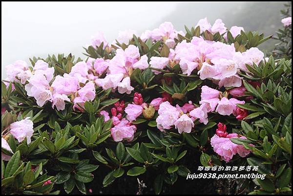 合歡東峰1.JPG 合歡東峰1.JPG