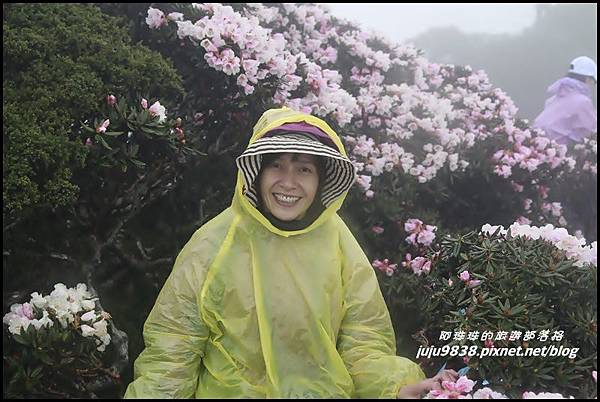 合歡東峰8.JPG 合歡東峰8.JPG