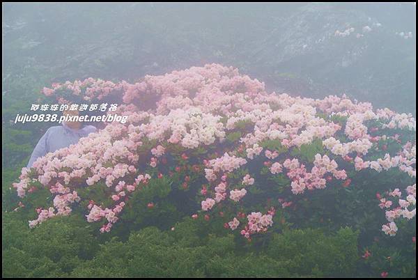 合歡東峰22.JPG 合歡東峰22.JPG