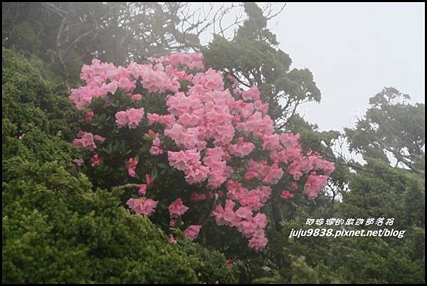 合歡東峰25.JPG 合歡東峰25.JPG