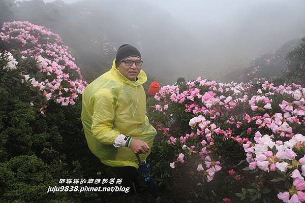 合歡東峰26.JPG 合歡東峰26.JPG