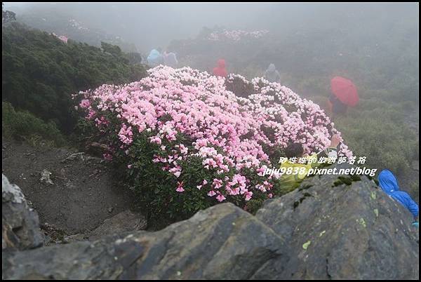 合歡東峰49.JPG 合歡東峰49.JPG