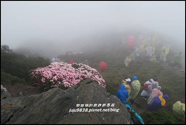 合歡東峰52.JPG 合歡東峰52.JPG