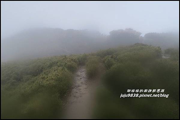 合歡東峰55.JPG 合歡東峰55.JPG