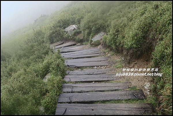 合歡東峰57.JPG 合歡東峰57.JPG