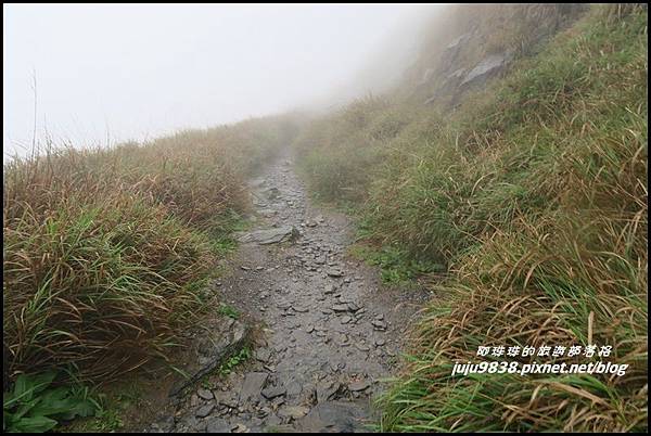 小奇萊步道3.JPG 小奇萊步道3.JPG