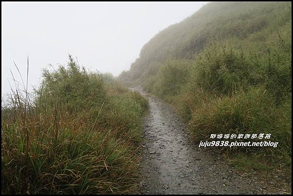 小奇萊步道5.JPG 小奇萊步道5.JPG