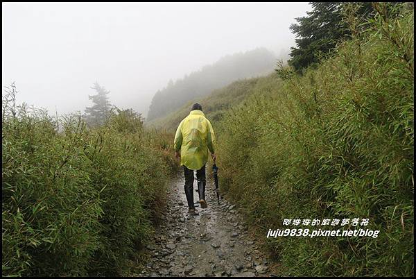 小奇萊步道11.JPG 小奇萊步道11.JPG