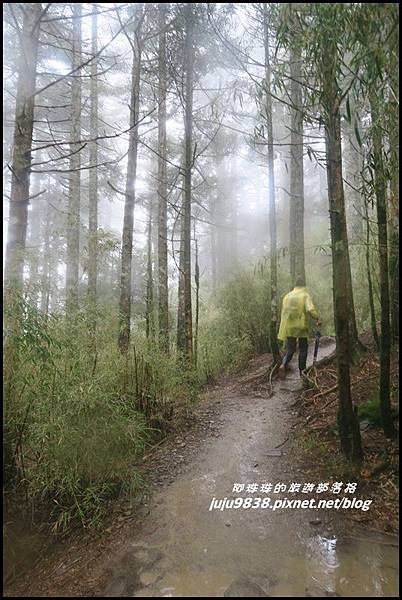 小奇萊步道13.JPG 小奇萊步道13.JPG