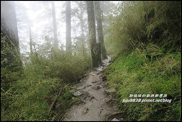 小奇萊步道16.JPG 小奇萊步道16.JPG