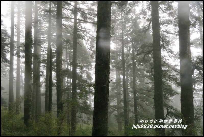 小奇萊步道17.JPG 小奇萊步道17.JPG