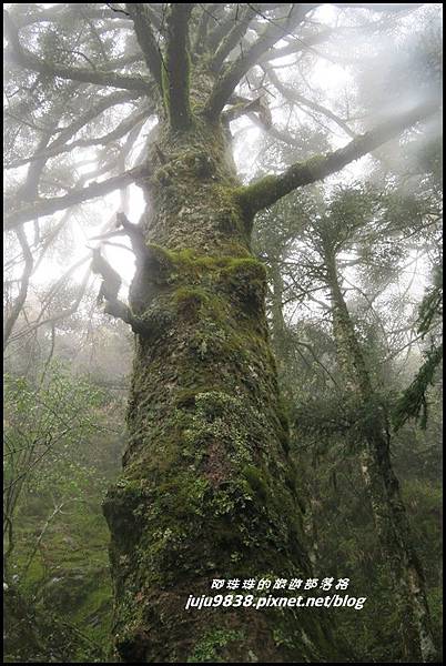 小奇萊步道19.JPG 小奇萊步道19.JPG