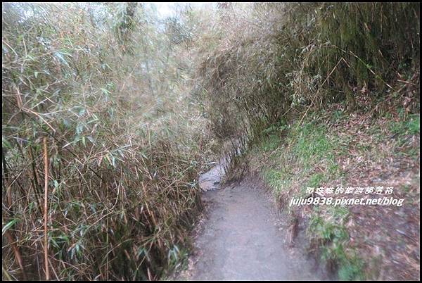 小奇萊步道32.JPG 小奇萊步道32.JPG
