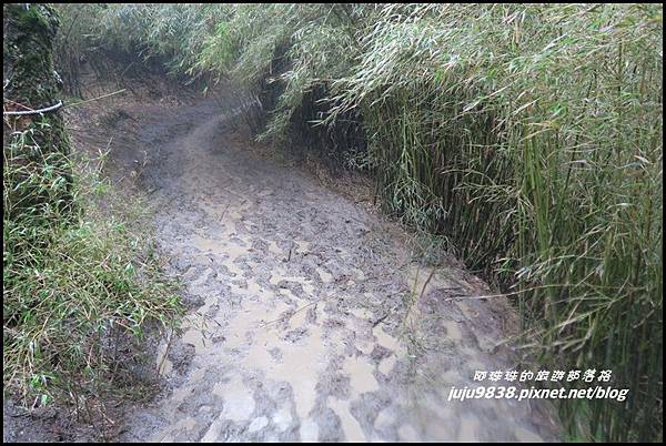 小奇萊步道34.JPG 小奇萊步道34.JPG