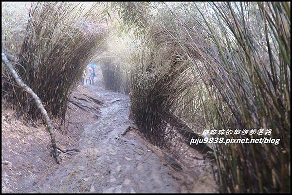 小奇萊步道36.JPG 小奇萊步道36.JPG