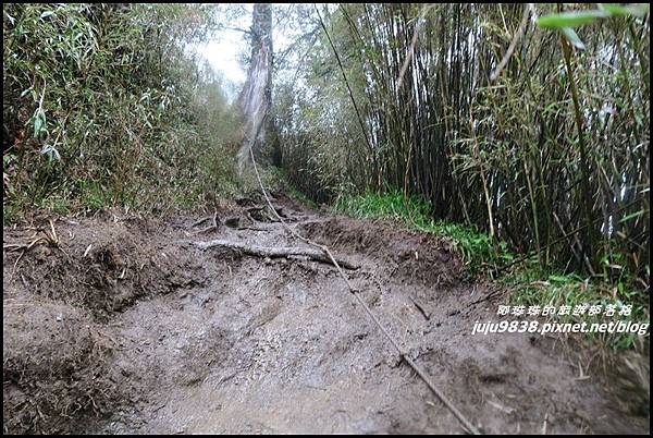 小奇萊步道38.JPG 小奇萊步道38.JPG