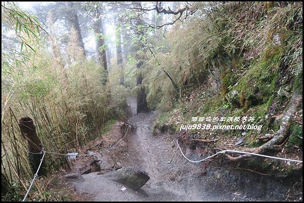 小奇萊步道41.JPG 小奇萊步道41.JPG
