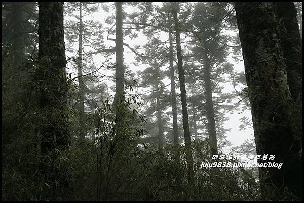 小奇萊步道44.JPG 小奇萊步道44.JPG